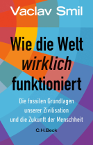Buchcover für Wie die Welt wirklich funktioniert
