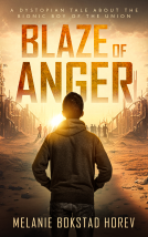 book cover for Blaze of Anger