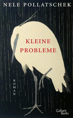Buchcover für Kleine Probleme