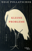 Buchcover für Kleine Probleme