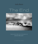 book cover for The End
