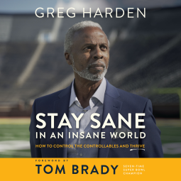 book cover for Stay Sane in an Insane World