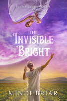 book cover for The Invisible Bright