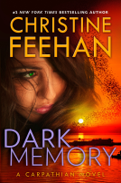 book cover for Dark Memory