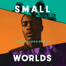 book cover for Small Worlds