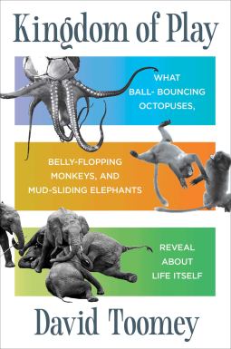 book cover for Kingdom of Play