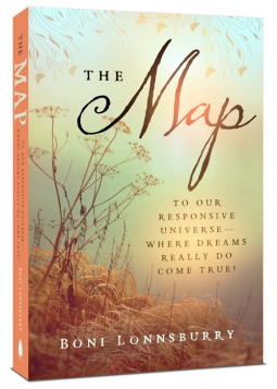 book cover for The Map