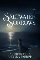 book cover for Saltwater Sorrows