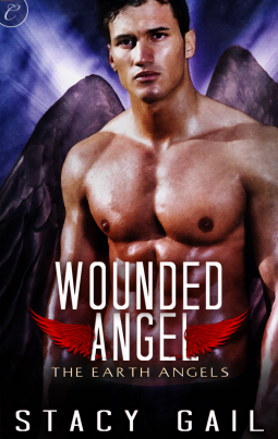 book cover for Wounded Angel