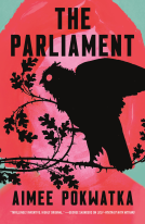 book cover for The Parliament