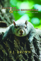 book cover for Close Ups and Close Encounters