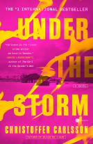 book cover for Under the Storm