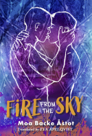 book cover for Fire From the Sky