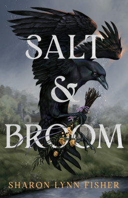 book cover for Salt & Broom