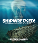 book cover for Shipwrecked!