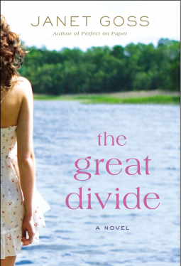 book cover for The Great Divide