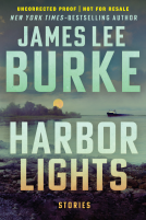 book cover for Harbor Lights