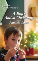 book cover for A Boy's Amish Christmas