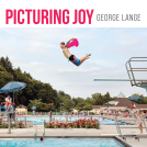 book cover for Picturing Joy