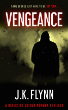 book cover for Vengeance