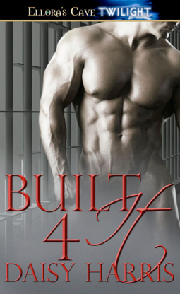 book cover for Built 4 It