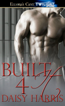 book cover for Built 4 It