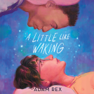 book cover for A Little Like Waking
