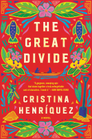 book cover for The Great Divide