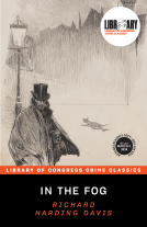 book cover for In the Fog