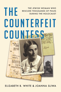 book cover for The Counterfeit Countess