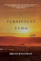 book cover for A Persistent Echo