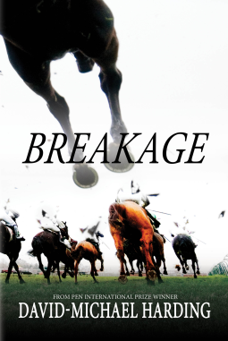 book cover for Breakage
