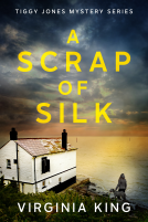book cover for A Scrap of Silk