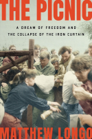 book cover for The Picnic