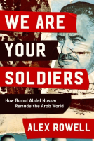 book cover for We Are Your Soldiers