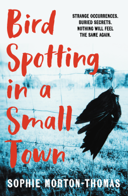 book cover for Bird Spotting In A Small Town