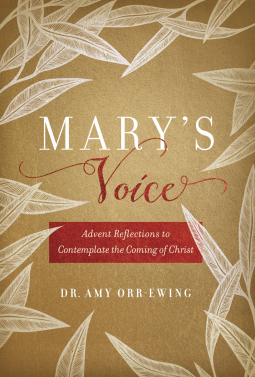 book cover for Mary's Voice
