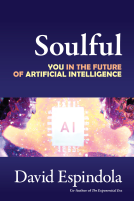 book cover for Soulful
