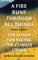 book cover for A Fire Runs through All Things
