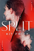 book cover for The Split