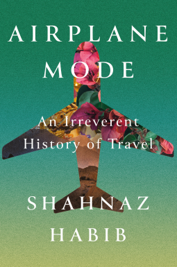 book cover for Airplane Mode