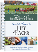 book cover for Wanda E. Brunstetter's Amish Friends Life Hacks