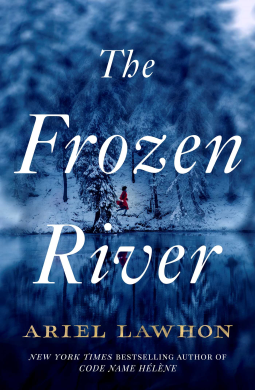 book cover for The Frozen River