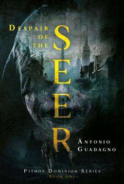 book cover for Despair of the Seer