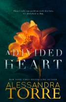 book cover for A Divided Heart