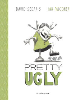 book cover for Pretty Ugly