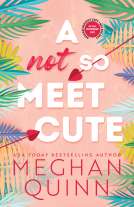 book cover for A Not So Meet Cute