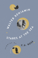 book cover for Walter Benjamin Stares at the Sea