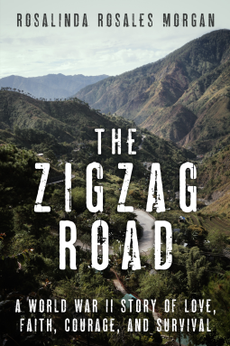 book cover for The Zigzag Road