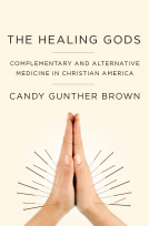book cover for The Healing Gods